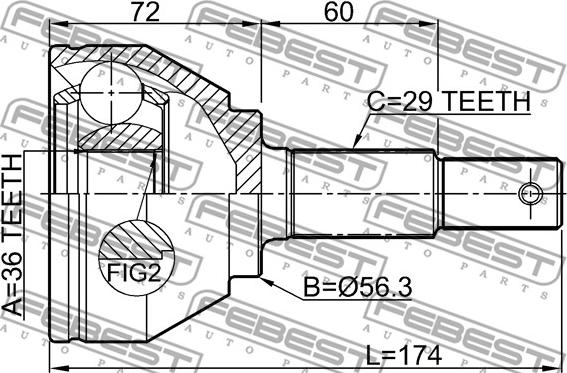 Febest 0210-T31M9 - Шарнірний комплект, ШРУС, приводний вал autocars.com.ua