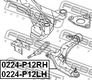 Febest 0224-P12LH - Рычаг подвески колеса avtokuzovplus.com.ua