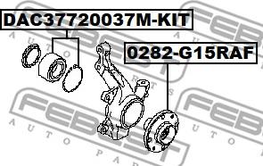 Febest 0282-G15RAF - Ступица колеса, поворотный кулак avtokuzovplus.com.ua