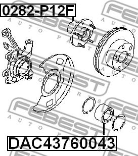 Febest 0282-P12F - Маточина колеса autocars.com.ua