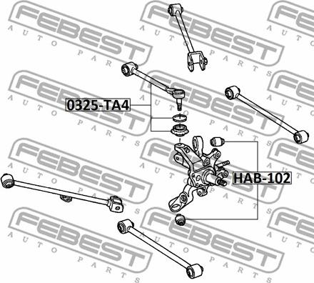 Febest 0325-TA4 - Важіль незалежної підвіски колеса autocars.com.ua