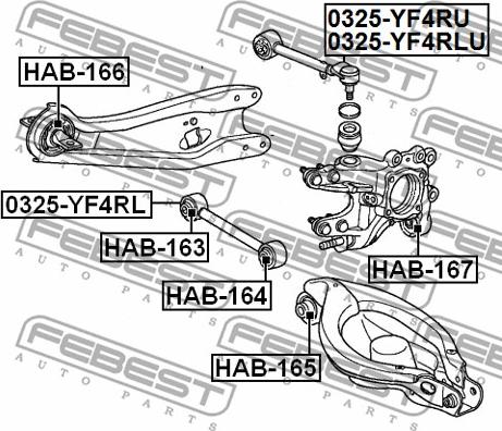 Febest HAB-167 - Сайлентблок, важеля підвіски колеса autocars.com.ua