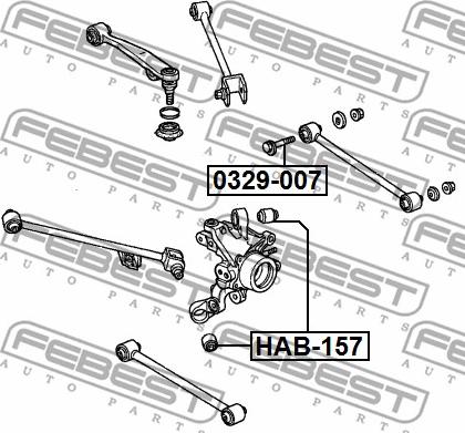 Febest 0329-007 - Болт регулировки развала колёс avtokuzovplus.com.ua