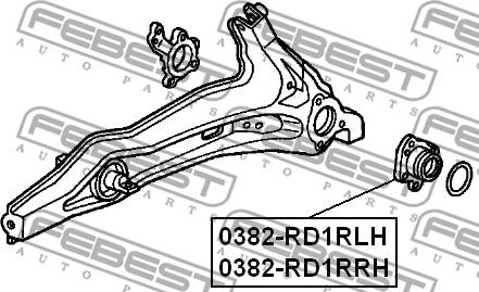 Febest 0382-RD1RRH - Маточина колеса autocars.com.ua