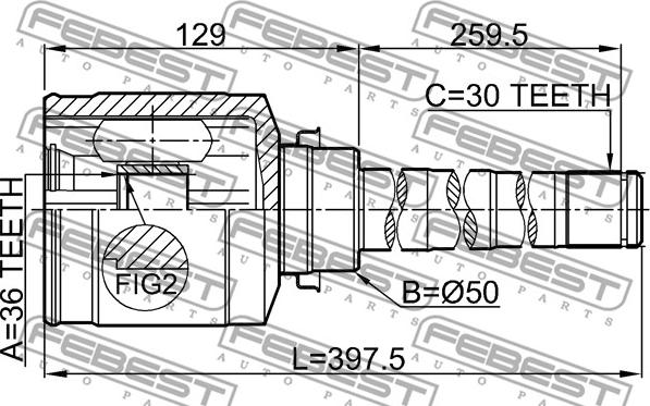 Febest 0411-CW6WRH - Шарнірний комплект, ШРУС, приводний вал autocars.com.ua