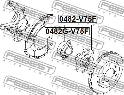 Febest 0482G-V75F - Ступица колеса, поворотный кулак avtokuzovplus.com.ua