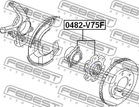 Febest 0482-V75F - Маточина колеса autocars.com.ua