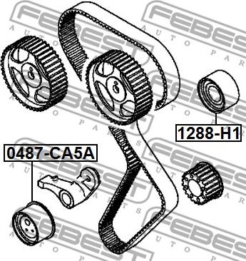 Febest 0487-CA5A - Натяжной ролик, ремень ГРМ avtokuzovplus.com.ua