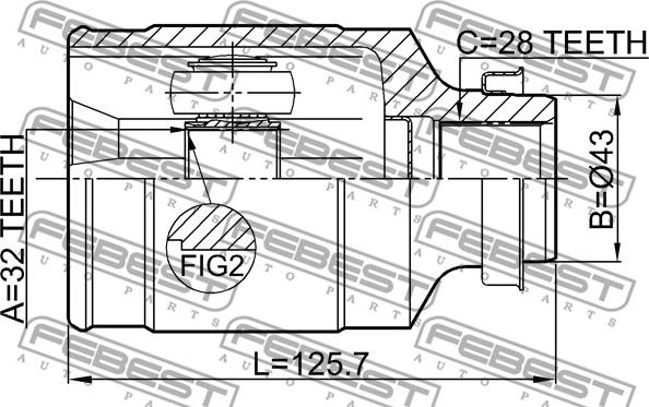 Febest 0511-GHMTRH - ШРУС autocars.com.ua