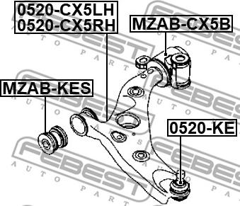 Febest 0524-CX5LH - Важіль незалежної підвіски колеса autocars.com.ua