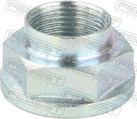 Febest 0598-NHUB01 - Гайка осі, приводний вал autocars.com.ua