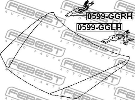 Febest 0599-GGRH - Шарнир, капот avtokuzovplus.com.ua