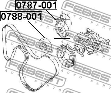 Febest 0788-001 - Направляющий ролик, поликлиновый ремень avtokuzovplus.com.ua