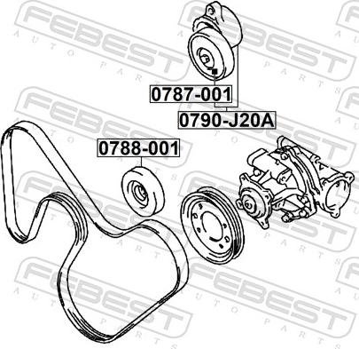 Febest 0790-J20A - Натягувач ременя, клинові зуб. autocars.com.ua