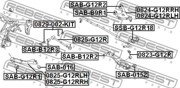 Febest 0829-002-KIT - Болт регулювання розвалу коліс autocars.com.ua