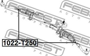 Febest 1022-T250 - Осьовий шарнір, рульова тяга autocars.com.ua