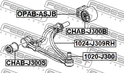 Febest 1024-J309RH - Важіль незалежної підвіски колеса autocars.com.ua