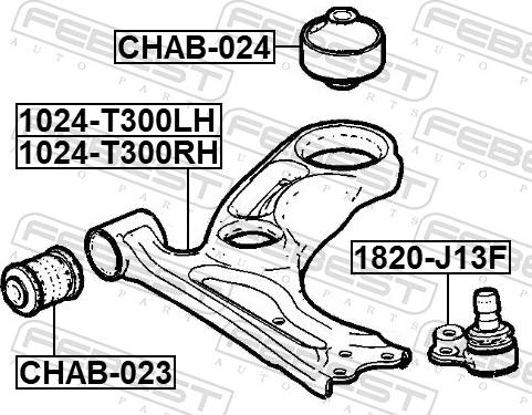 Febest 1024-T300LH - Важіль незалежної підвіски колеса autocars.com.ua