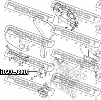 Febest 1090-J300 - Натягувач, зубчастий ремінь autocars.com.ua