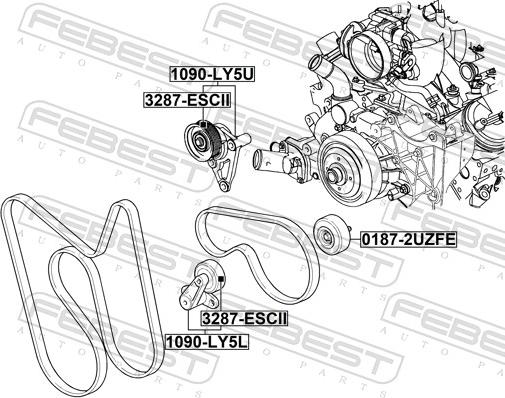 Febest 1090-LY5U - Натягувач ременя, клинові зуб. autocars.com.ua