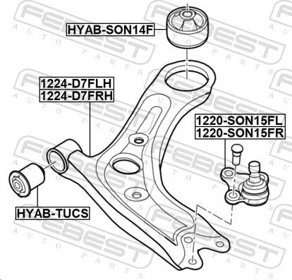 Febest 1224-D7FLH - Важіль незалежної підвіски колеса autocars.com.ua