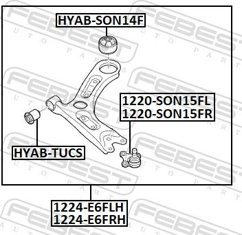 Febest 1224-E6FLH - Важіль незалежної підвіски колеса autocars.com.ua