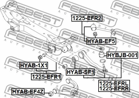 Febest 1225-EFR2 - Важіль незалежної підвіски колеса autocars.com.ua