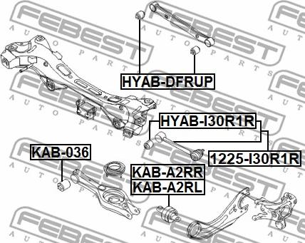 Febest 1225-I30R1R - Важіль незалежної підвіски колеса autocars.com.ua