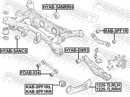 Febest 1225-TLRRH - Важіль незалежної підвіски колеса autocars.com.ua