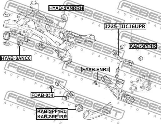 Febest 1225-TUC16UPR - Важіль незалежної підвіски колеса autocars.com.ua