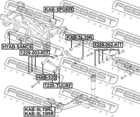 Febest 1225-TUCRF - Рычаг подвески колеса autodnr.net