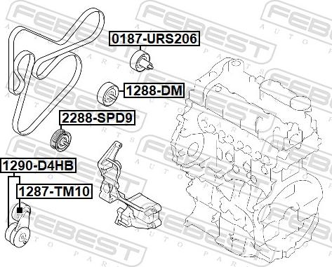 Febest 1290-D4HB - Натягувач ременя, клинові зуб. autocars.com.ua