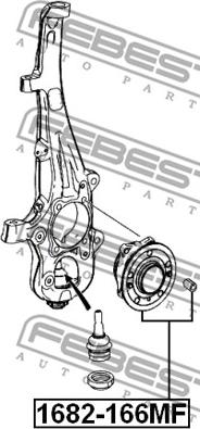 Febest 1682-166MF - Ступица колеса, поворотный кулак avtokuzovplus.com.ua