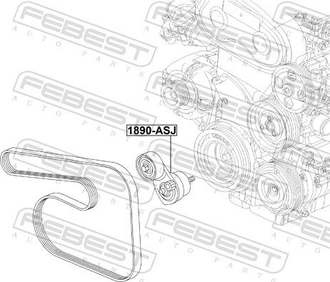 Febest 1890-ASJ - Натяжитель, поликлиновый ремень autodnr.net