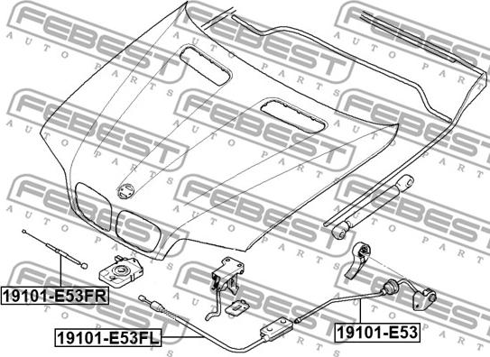 Febest 19101-E53FL - Тросик замка капота autocars.com.ua