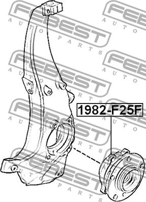 Febest 1982-F25F - Маточина колеса autocars.com.ua