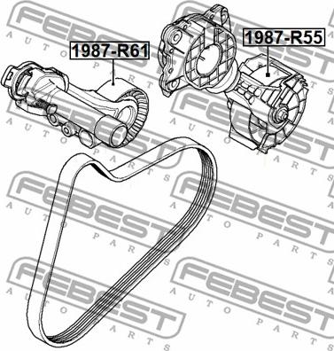 Febest 1987-R61 - Направляющий ролик, поликлиновый ремень avtokuzovplus.com.ua