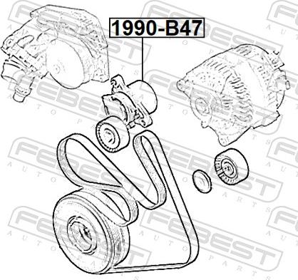 Febest 1990-B47 - Натягувач ременя, клинові зуб. autocars.com.ua