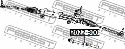 Febest 2022-300 - Рульова тяга autocars.com.ua