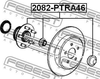 Febest 2082-PTRA46 - Ступица колеса, поворотный кулак avtokuzovplus.com.ua