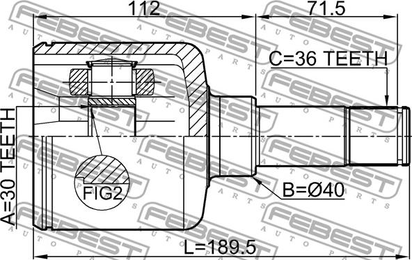 Febest 2111-TRDLH - Шарнірний комплект, ШРУС, приводний вал autocars.com.ua