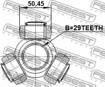 Febest 2116-TTG - Муфта з шипами, приводний вал autocars.com.ua