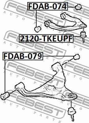 Febest FDAB-079 - Сайлентблок, важеля підвіски колеса autocars.com.ua