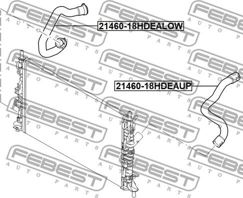 Febest 21460-18HDEALOW - Трубка охлаждающей жидкости avtokuzovplus.com.ua