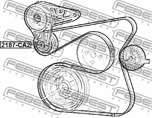 Febest 2187-CA2 - Направляющий ролик, поликлиновый ремень avtokuzovplus.com.ua