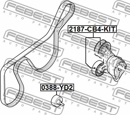 Febest 2187-CB4-KIT - Направляющий ролик, поликлиновый ремень avtokuzovplus.com.ua