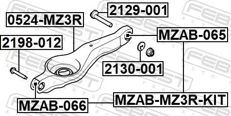 Febest 2198-012 - Болт регулювання розвалу коліс autocars.com.ua