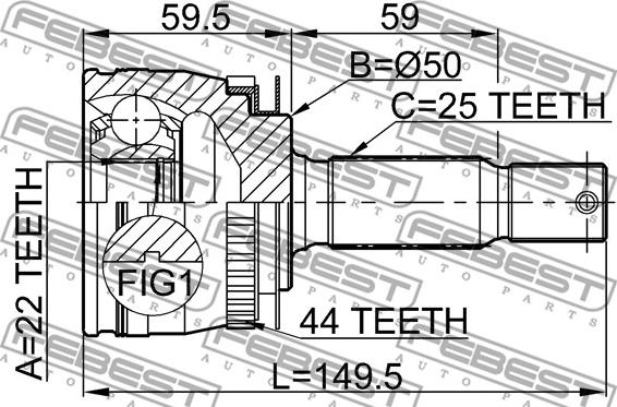 Febest 2210-CER16A44 - ШРКШ ШРУС зовнішній 22x49.5x25 KIA CERATO I Hatchback LD 1.6 CRDi 05-08 autocars.com.ua