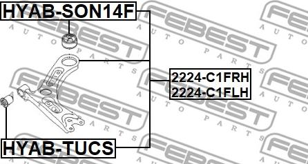 Febest 2224-C1FRH - Важіль незалежної підвіски колеса autocars.com.ua