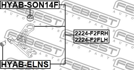 Febest 2224-F2FLH - Важіль незалежної підвіски колеса autocars.com.ua